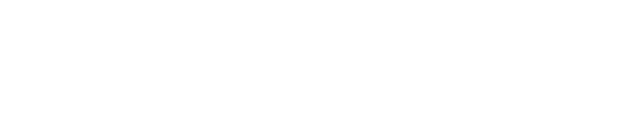 logo Vip-perevod